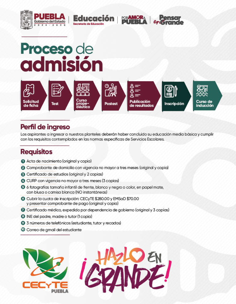 Infografía del proceso de admisión